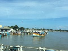 -尼甘布海鲜市场