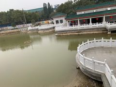 -荆州博物馆