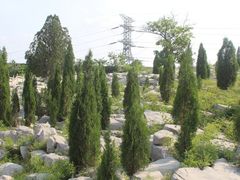 -原山国家森林公园