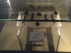 -延庆地质公园博物馆