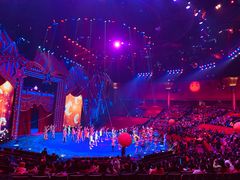 -珠海横琴长隆《卡卡虎奇遇记》