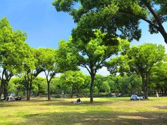 -苏州上方山国家森林公园