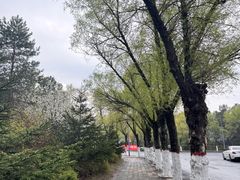 -哈尔滨师范大学(松北校区)