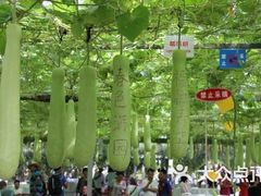 -长春农业博览园