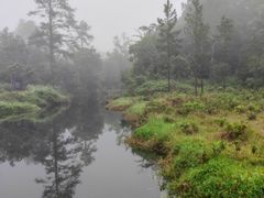 -海南热带雨林国家公园吊罗山景区