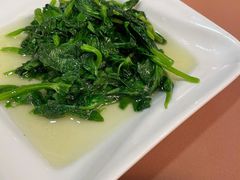 高山豆苗-新南华大酒店(广中店)