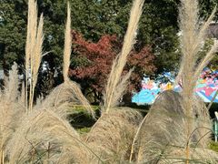 -上海第二工业大学(金海路校区)