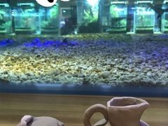 -趣陶陶艺手工坊(新世界百货重庆店)