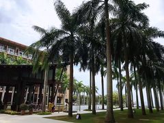 -三亚亚龙湾红树林度假酒店