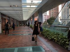 -香港大学