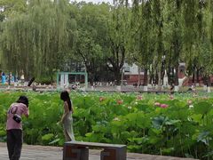 -四川大学(望江校区)