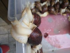 -霄汉牛三鲜湖北砂锅菜(万松园2店)