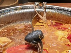 寿喜锅-牛New寿喜烧(虹桥新天地店)