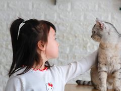 -平行世界·猫咖(首经贸店)