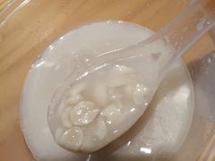 花生汤-海丝金凤(金鱼店)