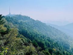 -惠山国家森林公园