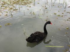 -昆山城市生态森林公园