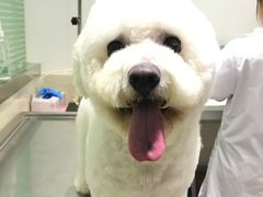 -暖阳宠物医院·犬猫康复中心·骨科