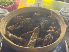 -盐禾堂海南屯昌香草鸭(总店)