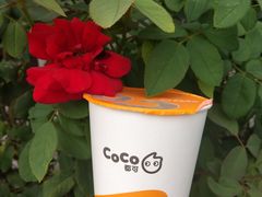 鲜芋奶茶-CoCo都可(建外SOHO店)