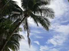 -白沙滩