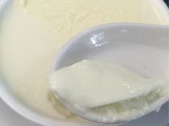 -义顺牛奶公司(新马路老店)