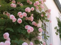 -颐和路民国时期公馆-风貌区