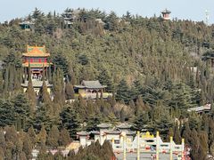 -龙口南山旅游景区