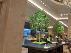 -锦粤宫·精致粤菜(深圳北站店)