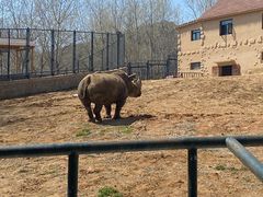 -大连森林动物园