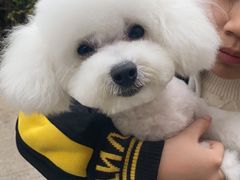 -悠尼宠物·独立低压伊珊娜洗护·美容·寄养(兰谷路店)