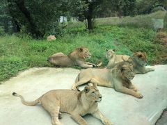 -西安秦岭野生动物园