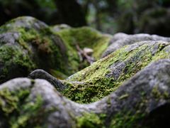 -梭布垭石林景区