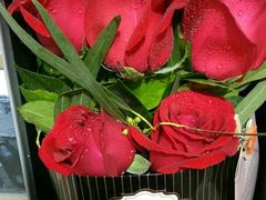 -花间阁鲜花气球连锁(两路口上清寺急市救中心店)