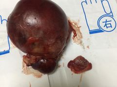 -美联众合宠物医院·爱萌分院·内外科·猫科中心