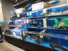 -盒马鲜生(双清路店)
