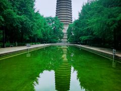 -玲珑塔公园