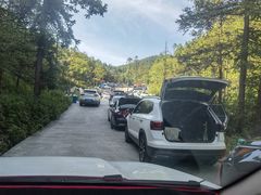 -武陵山森林公园