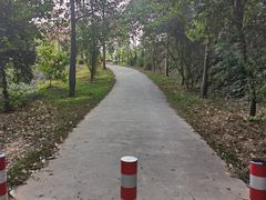 -东莞市大岭山森林公园