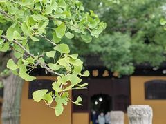 -西园戒幢律寺