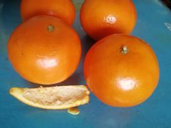 -果叔(红旗街店)