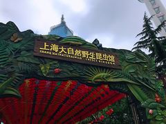 -上海大自然野生昆虫馆(东方明珠·爬宠昆虫探索中心)