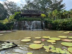 -中国科学院西双版纳热带植物园