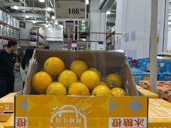 -山姆会员商店(亦庄创意生活广场店)
