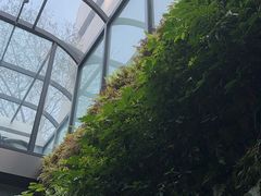 -巴厘龙虾·榜首油焖大虾(洞庭·艺术洋房店)