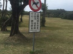 -鹅銮鼻公园