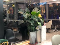 -V+SALON造型