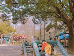 -上海共青森林公园