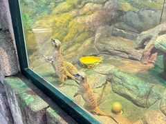 -福州罗源湾海洋世界旅游区