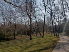 -采石矶景区